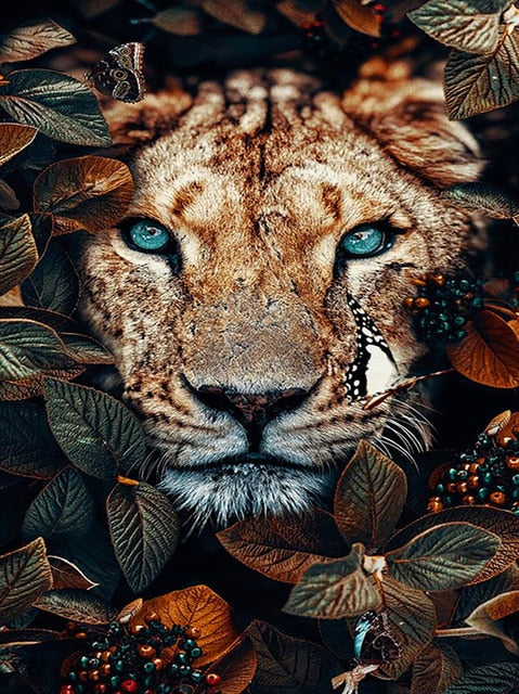 Lioness