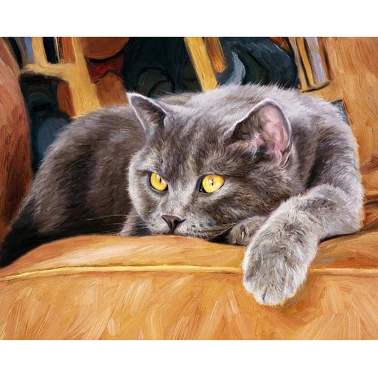 Grey Russian Cat Paint By Numbers