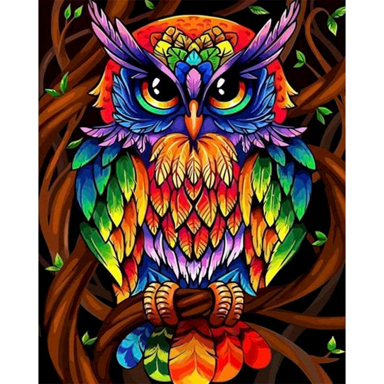 Colourful Owl Paint By Numbers