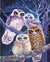 Group Of Owl