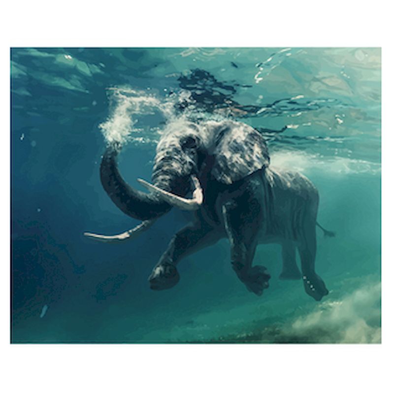 Elephant Swimmer - Paint By Numbers Elephant