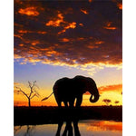 Paint By Number Elephant At Dawn