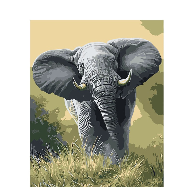 Paint By Numbers Elephant In Savannah