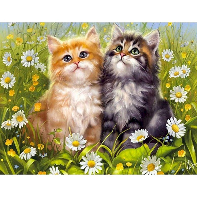 Paint By Numbers Duo Kittens