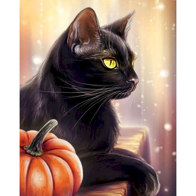 Paint By Numbers Salem Black Cat