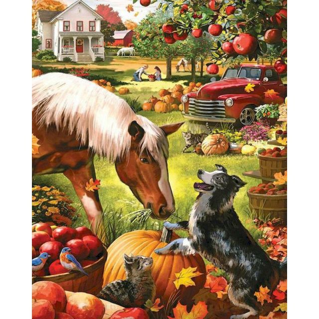 Paint By Numbers Farm Animals