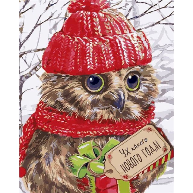 Paint By Numbers Owl Christmas