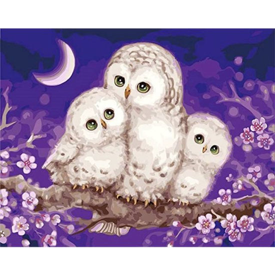 Painting By Numbers Owl Trio