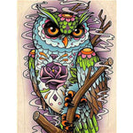 Paint By Numbers Old Owl