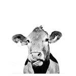 Black and white cow - paint by numbers cow