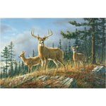 Deer trio - Paint By Numbers Deer