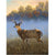 Deer in the meadow - Paint By Numbers Deer