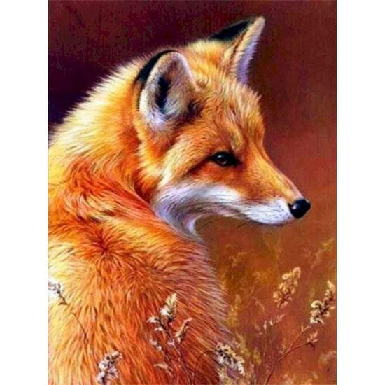 Paint By Numbers Red Fox