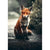 Sad fox - Paint By Numbers Fox
