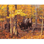 Bear family - Paint By Numbers Bear
