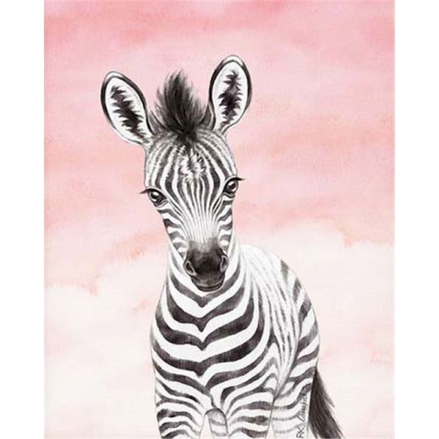 Baby Zebra  - Paint By Numbers Zebra