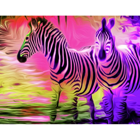 Pair of zebra - Paint By Numbers Zebra