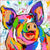 Paint By Number Colorful Pig