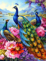 Peacock Group - Paint By Numbers Peacock