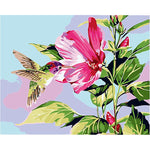 Hibiscus Hummingbird Paint By Number