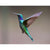 Hummingbird in flight - Hummingbird Paint By Numbers