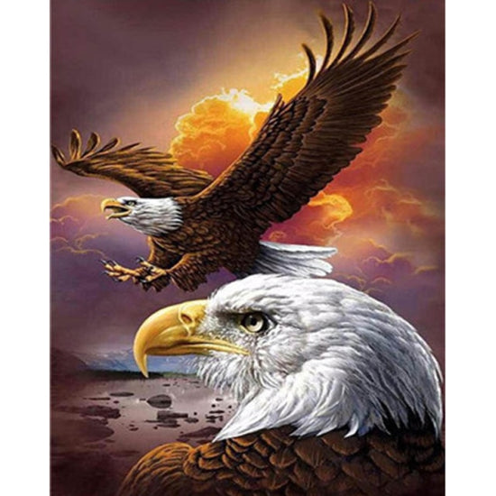 Paint By Numbers Bald Eagle