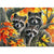 Paint By Numbers Raccoon Family