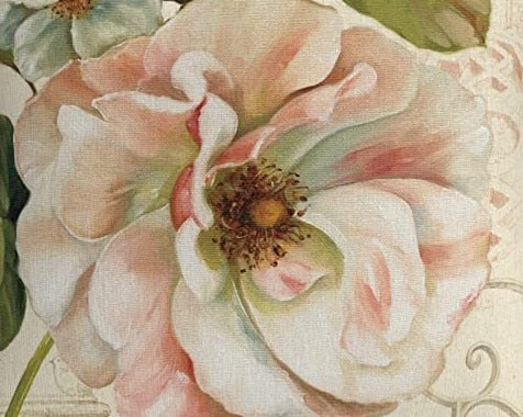 Weiße Blume mit rosa Farbton