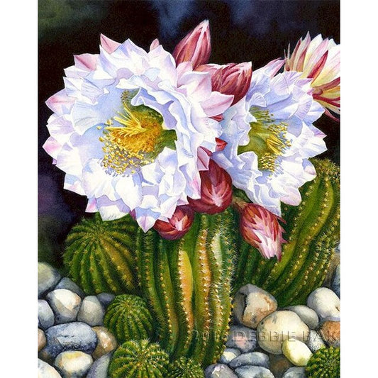 Paint By Numbers Cactus Flower