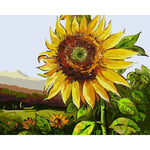 Painting By Numbers Sunflowers Pictures