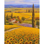 Paint By Numbers Sunflowers Field And Farm