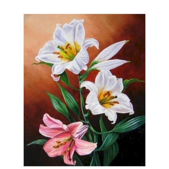 White and Pink Flowers - Paint By Numbers Flowers