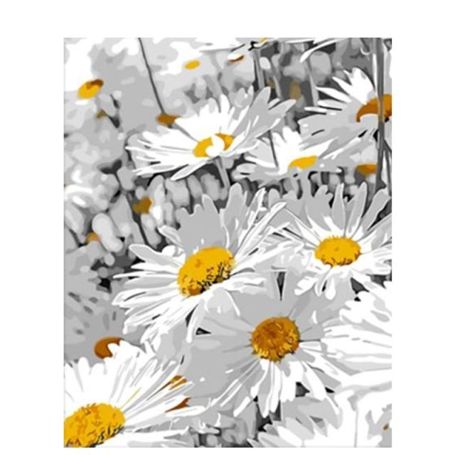 Paint By Numbers Daisies