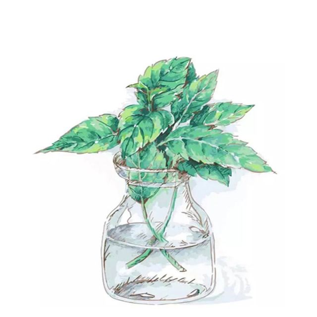 Leaf Bouquet - Paint By Numbers Flowers