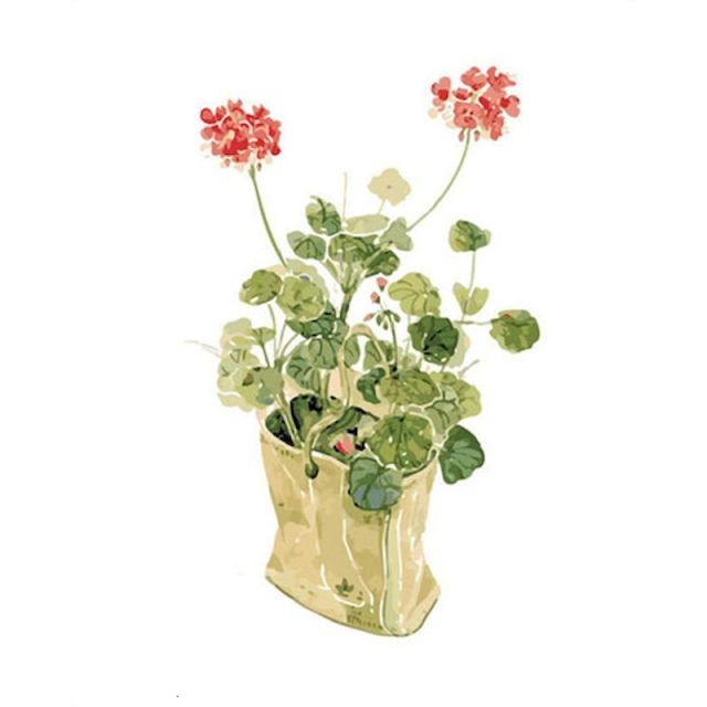 Original Flower Pot - Paint By Numbers Flowers