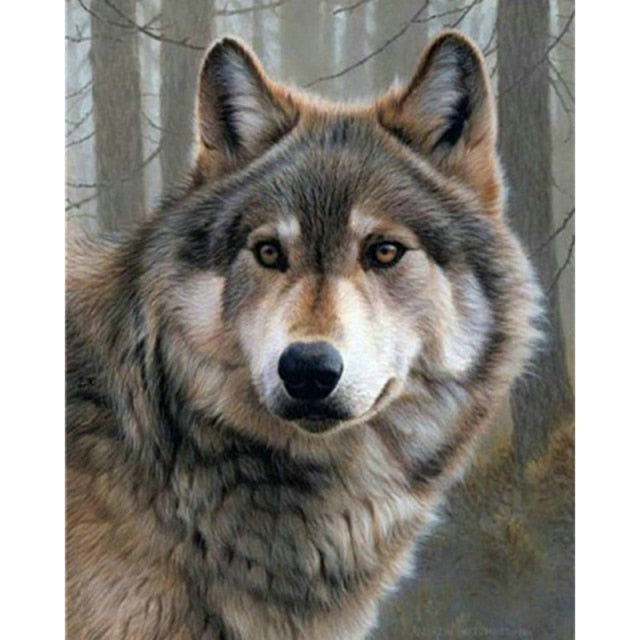 Paint By Numbers Magnificent Wolf