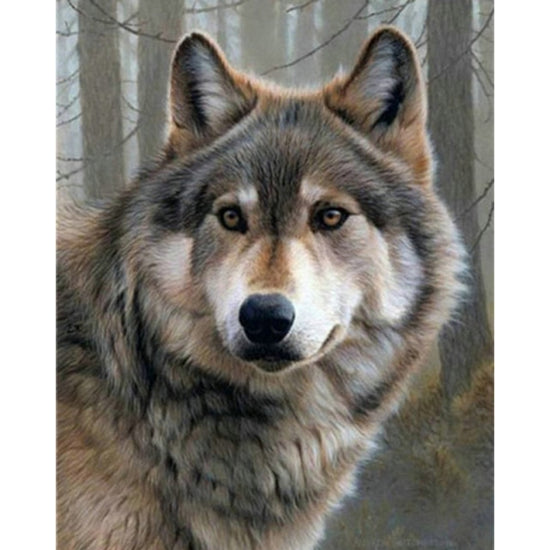 Paint By Numbers Magnificent Wolf