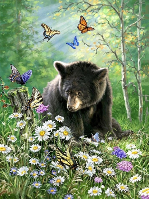 Bear Butterflies