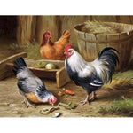 Paint By Numbers Rooster And Hens