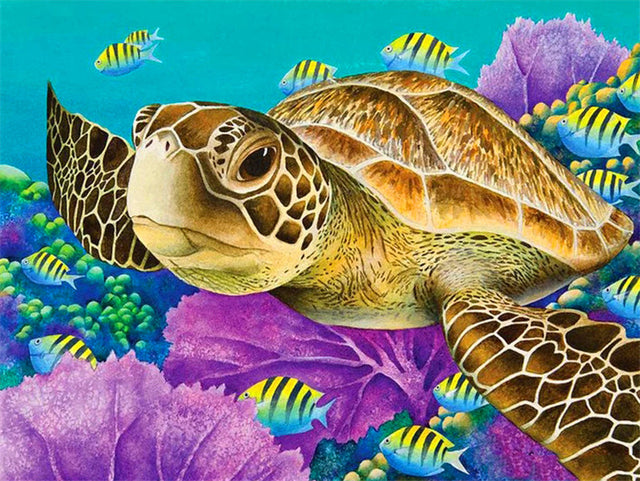 Turtle In Tropical Ocean