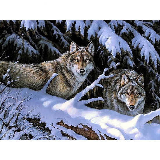 Pair of wolves - Paint By Numbers Wolf
