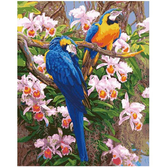 Paint By Numbers Parrot Couple